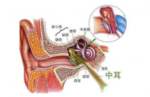 Read more about the article Can otitis media wear a hearing aid?