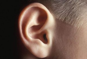 Read more about the article Know our ears