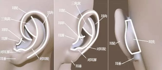 Main style of hearing aids