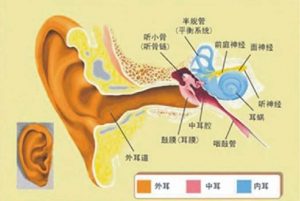 Read more about the article Sensorineural deafness