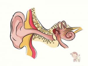 Read more about the article Can hearing loss recover?