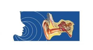 Read more about the article What is sensorineural deafness?
