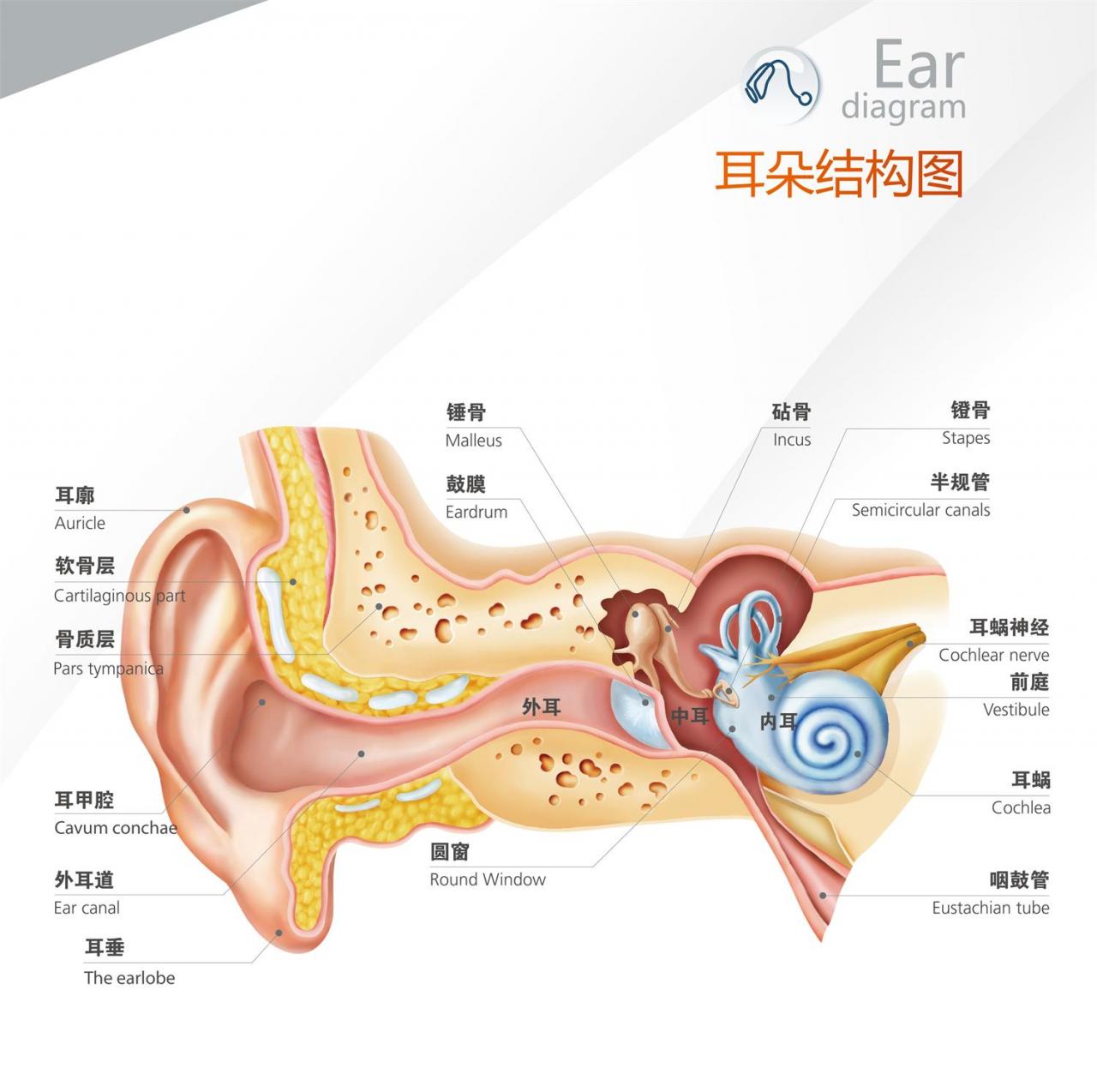 You are currently viewing Is wearing a hearing aid harmful to the ear?