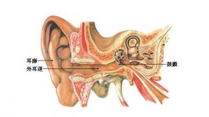 Read more about the article Does ear canal flushing cause tinnitus?