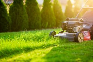 Read more about the article Lawn Fertilization Guide