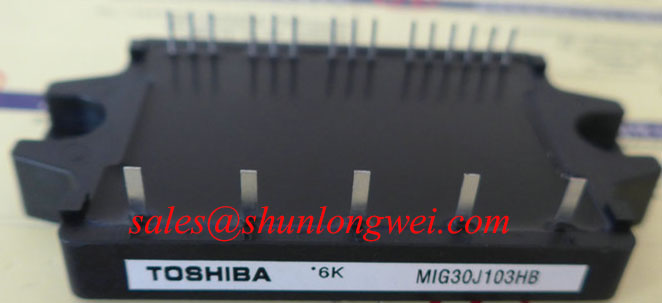 Read more about the article Toshiba MIG30J103HB