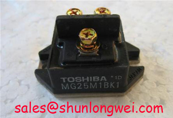 You are currently viewing Toshiba MG25M1BK1