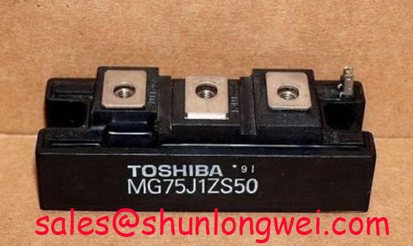 You are currently viewing Toshiba MG75J1ZS50