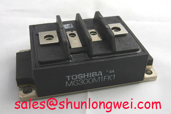 Read more about the article Toshiba MG300M1FK1