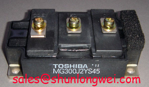 Read more about the article Toshiba MG300J2YS45